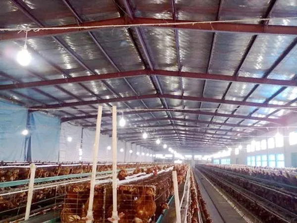 Prefabricated assembled light steel structure poultry building chicken breeding house