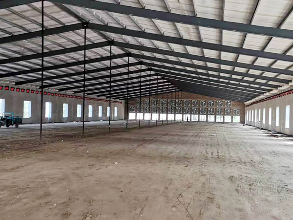 Prefab light steel structure broiler chicken housev