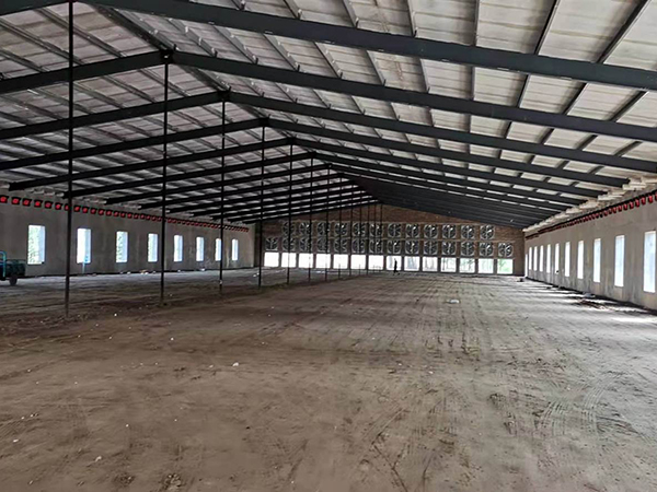 Steel structure farm broiler poultry shed construction design chicken house