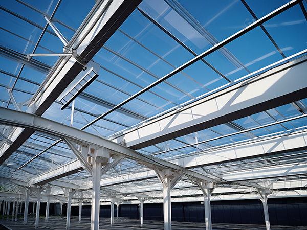 Big size steel structure warehouse steel frame buildings metal building