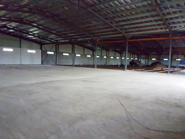 Steel shed warehouse structure building factory workshop