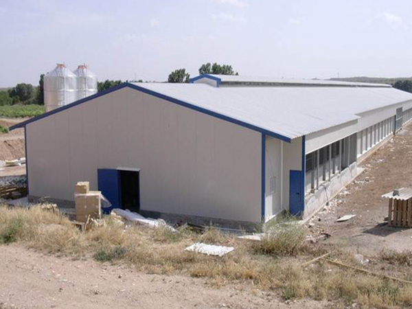 Steel structure chicken coop and sheep coop