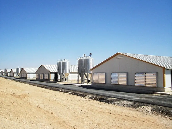 Steel structure sheep shed